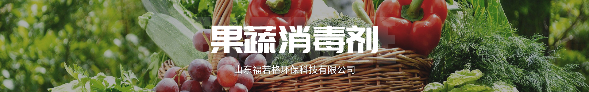 山东福若格环保科技有限公司