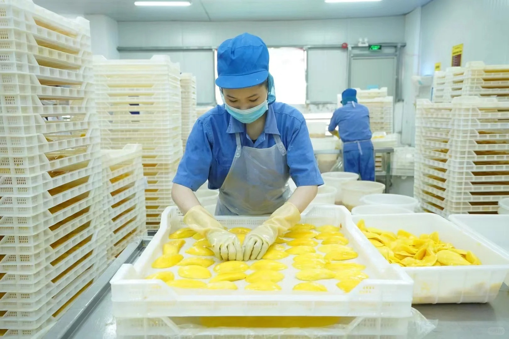 食品加工厂常用的保鲜手法