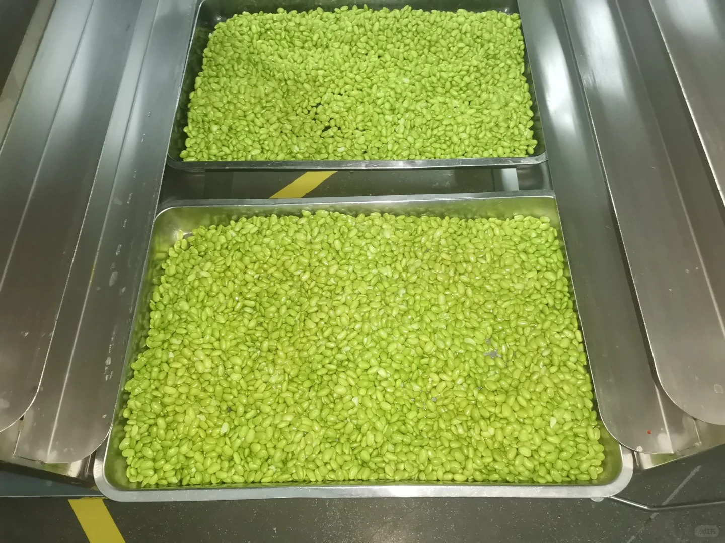 豆芽添加剂问题